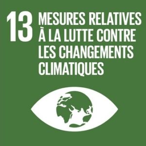 SDG 13 - Climate action