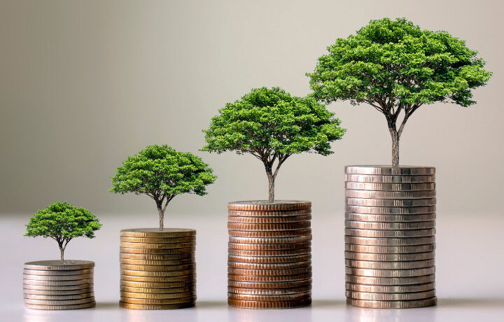 Équipe investissement