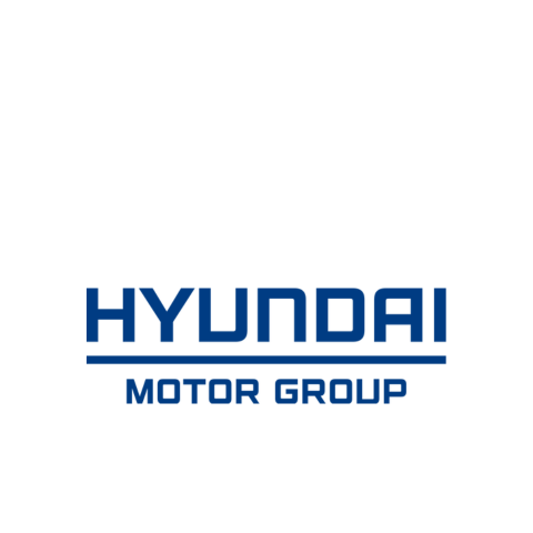 Hyundai motor group 