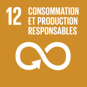 SDG 12 - Responsible consumption